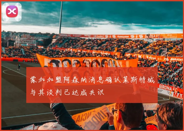 蒙加加盟阿森纳消息确认莱斯特城与其谈判已达成共识